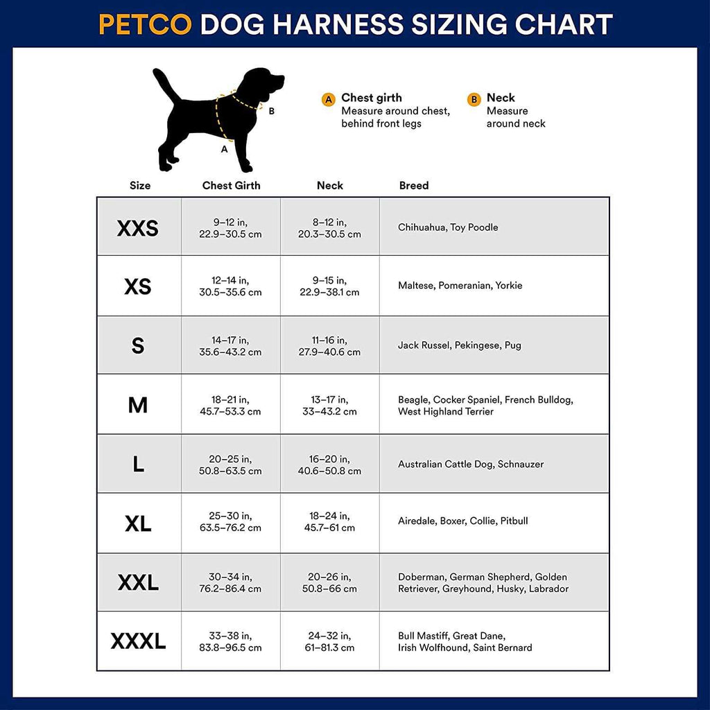 Small Dog Harness B816629