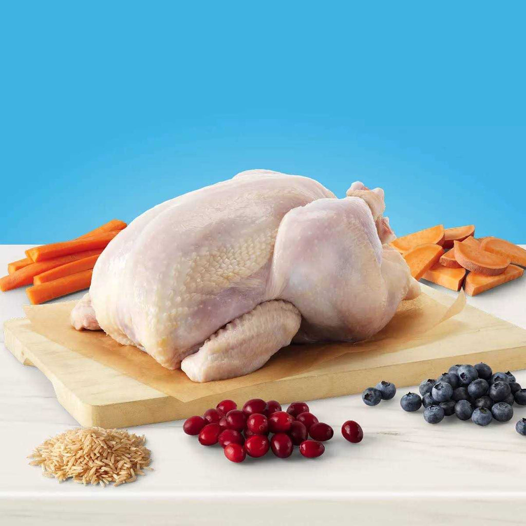 Natural Chicken Indoor Adult Dry Cat Food S516545