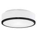 Black Two Light Flush Mount D139783