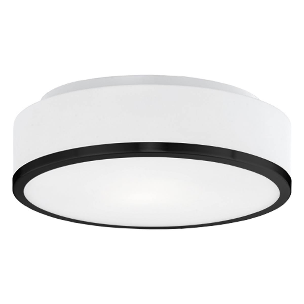 Black Two Light Flush Mount D139783