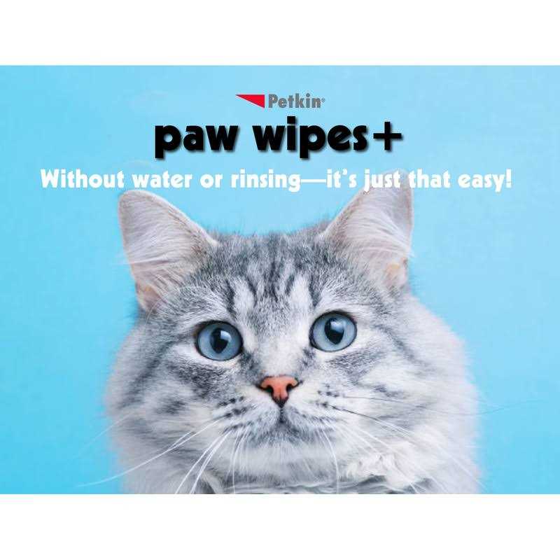 Chlorhexidine Antiseptic Dog & Cat Wipes C937649