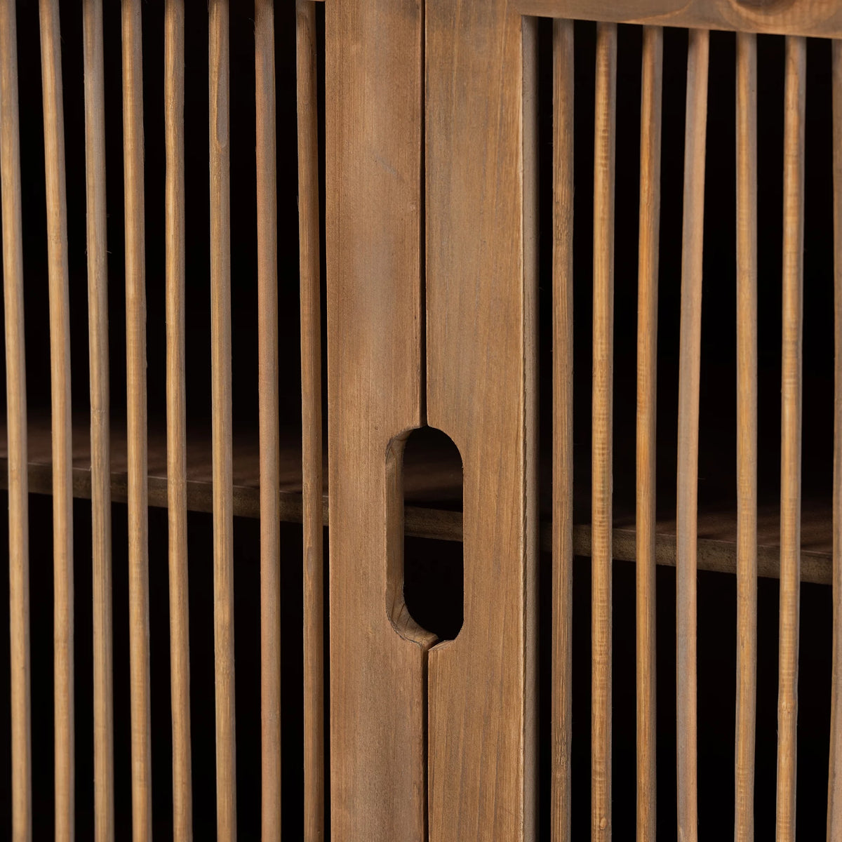 Medium Oak Finished 2-Door Wood Storage Cabinet S817