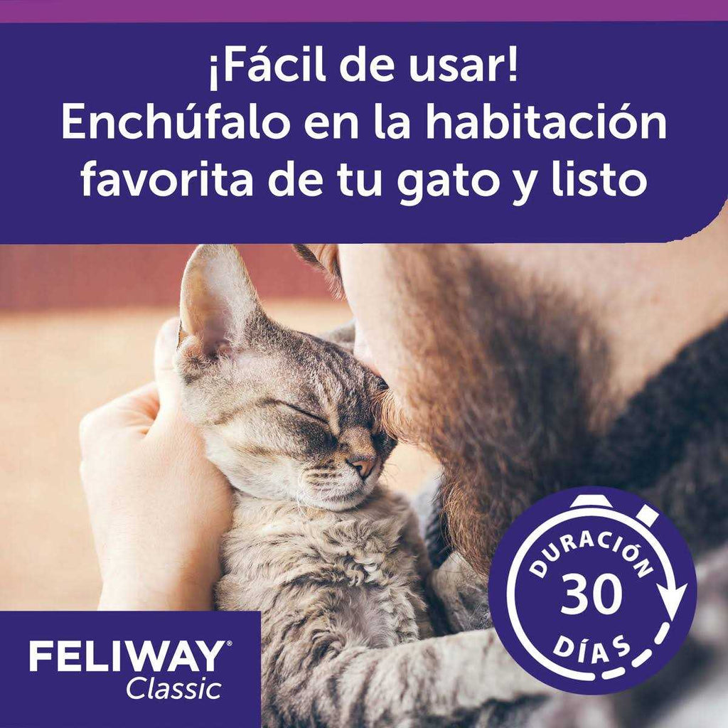 48ml Pet Refill N72598
