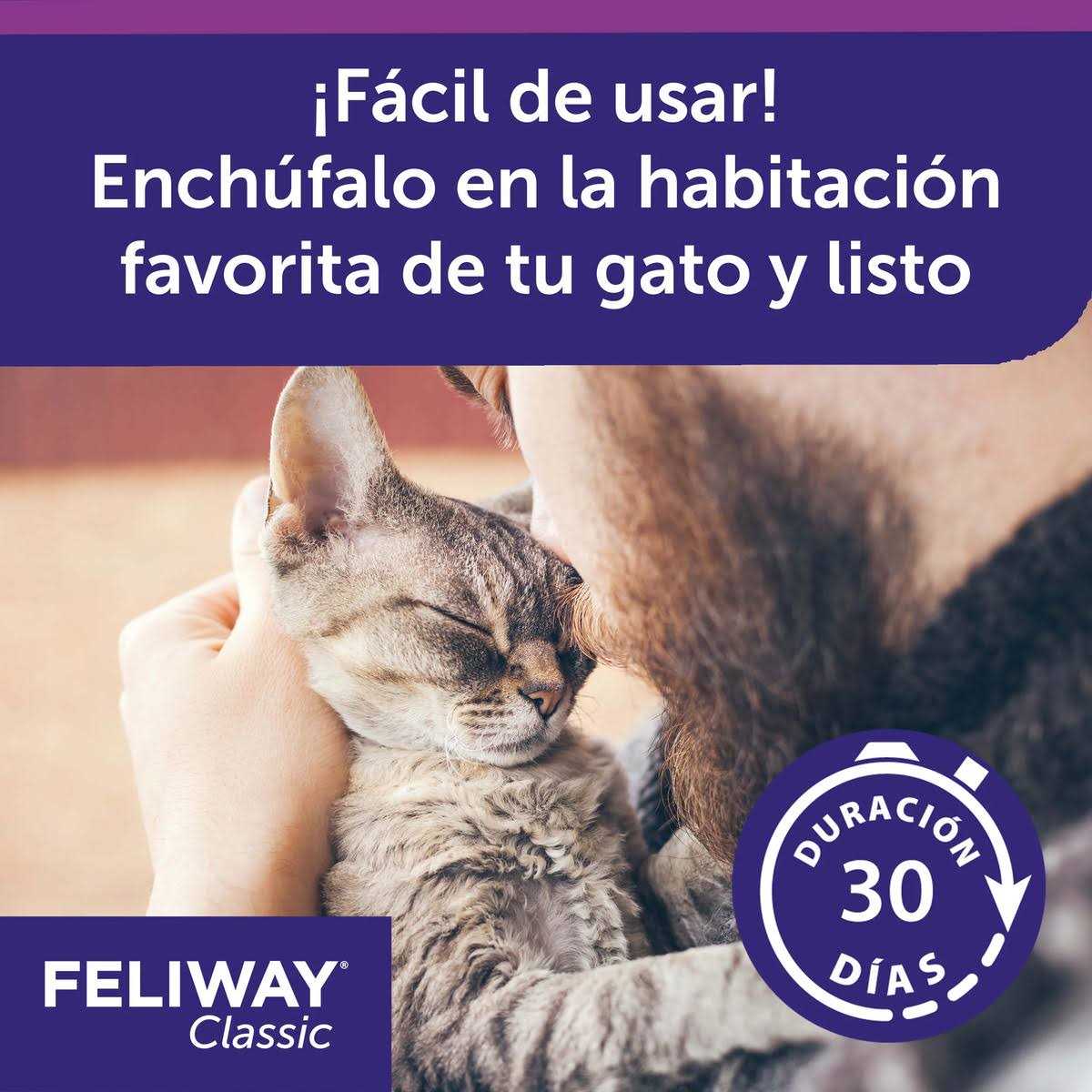 48ml Pet Refill N72598