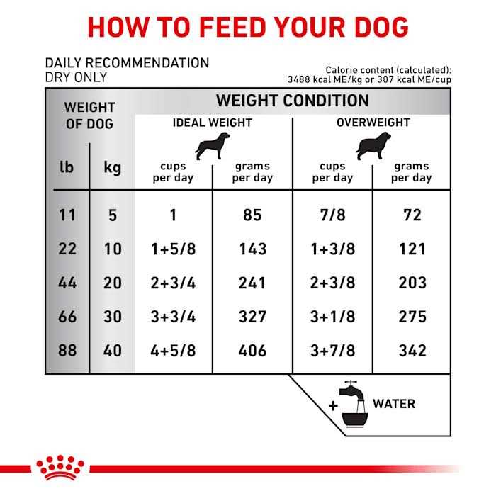 Hydrolyzed Protein Dry Dog Food D970043