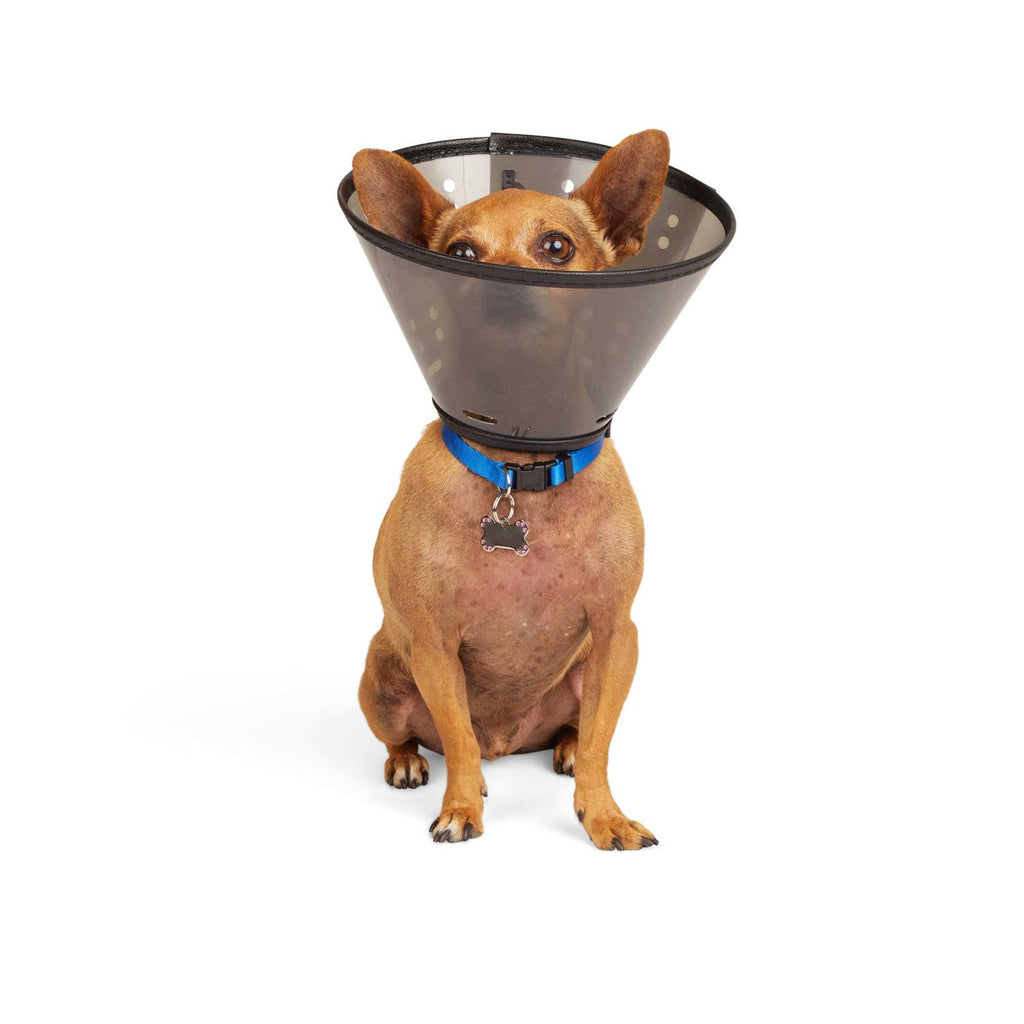 Recovery Cone Collar T621