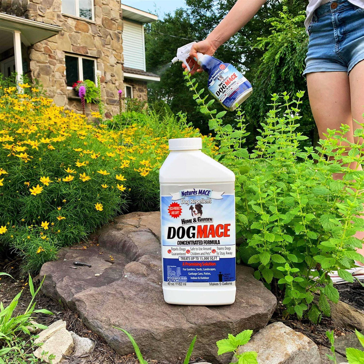 Dog Repellent D942