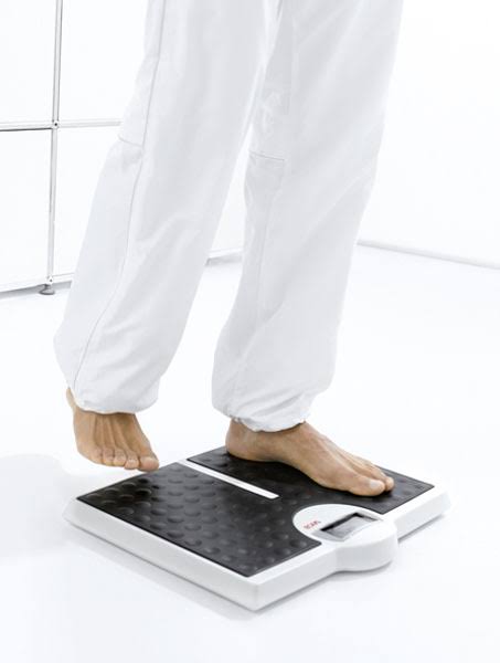 Flat Scale with High Capacity L266
