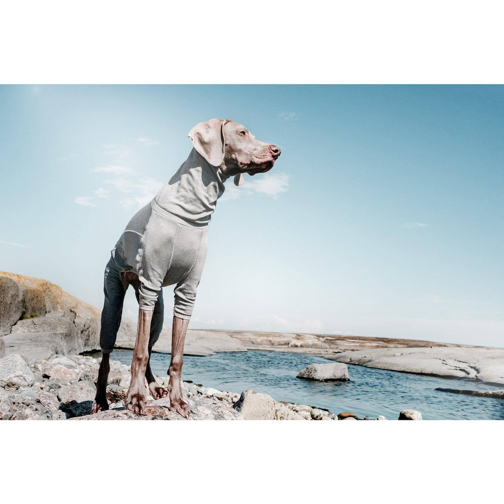 Carbon Grey Dog Body Warmer L171