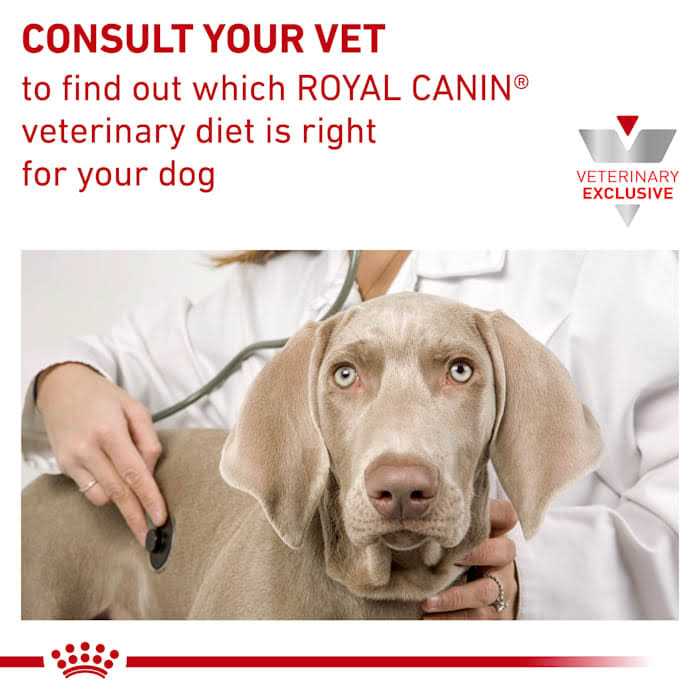 Hydrolyzed Protein Dry Dog Food D970043