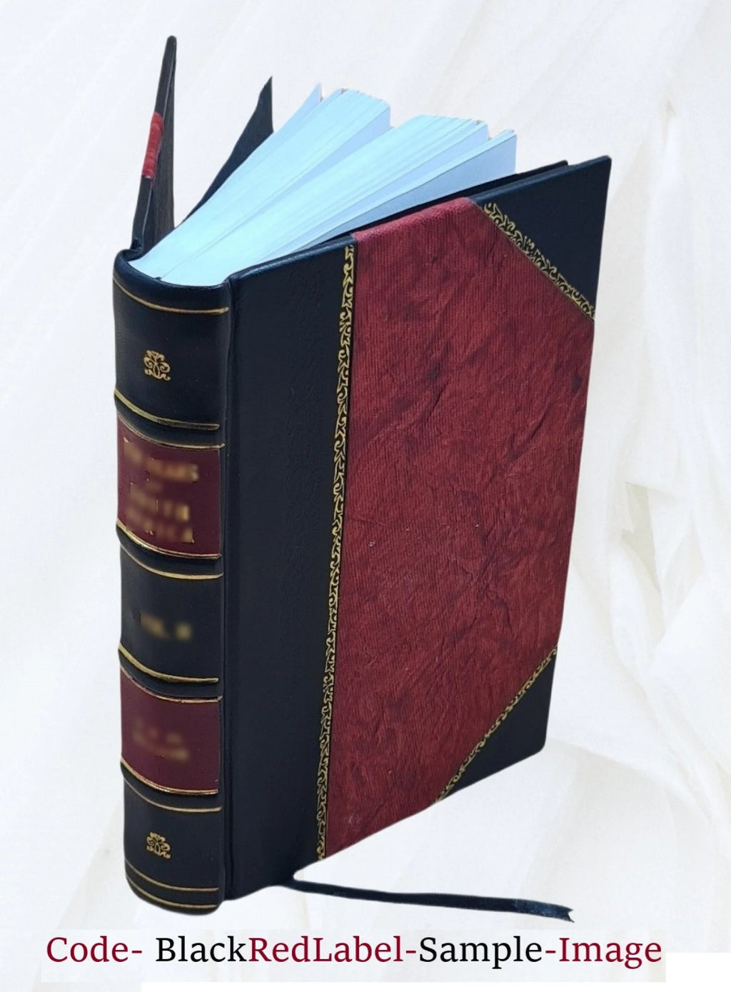 19th Century Works and Men Volume 13 Leather Bound Q60864