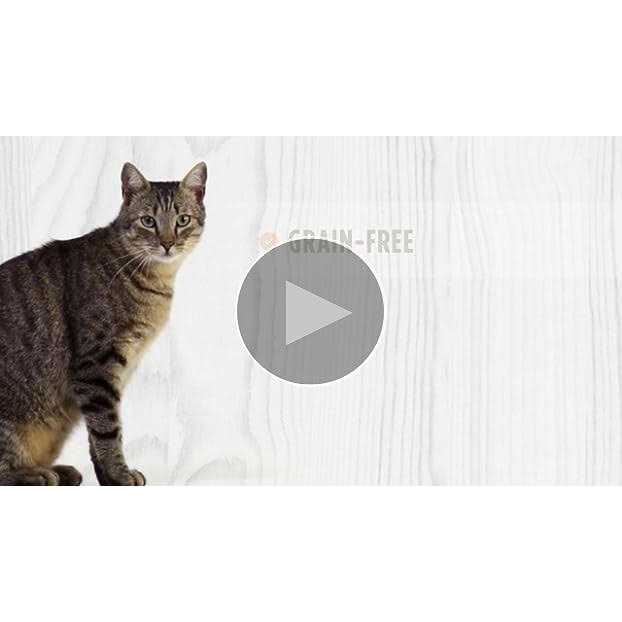 Grain-Free Variety Pack Canned Cat Food I686