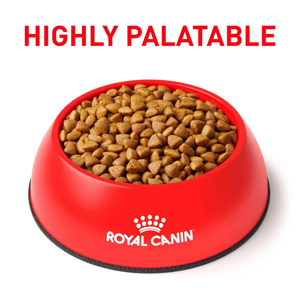 Dry Food A9907